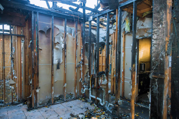Professional Fire Damage Removal technician working in Bronx, NY